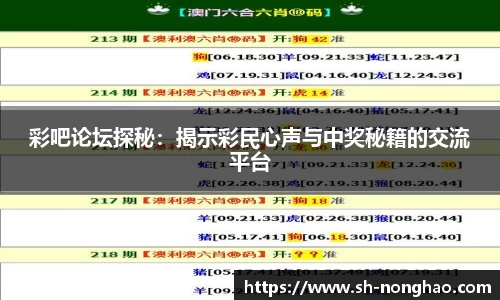 彩吧论坛探秘：揭示彩民心声与中奖秘籍的交流平台