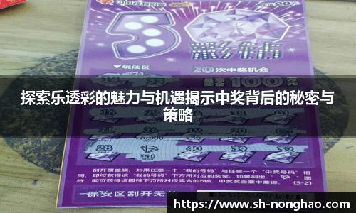 探索乐透彩的魅力与机遇揭示中奖背后的秘密与策略