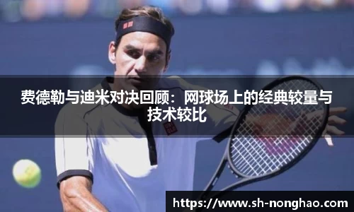 费德勒与迪米对决回顾：网球场上的经典较量与技术较比