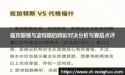 福克斯顿与波特斯的精彩对决分析与赛后点评